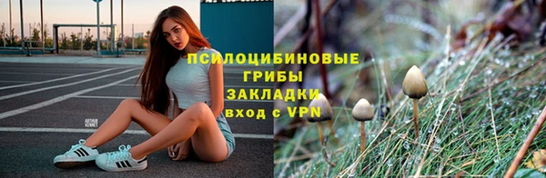 ГАЛЛЮЦИНОГЕННЫЕ ГРИБЫ Балахна