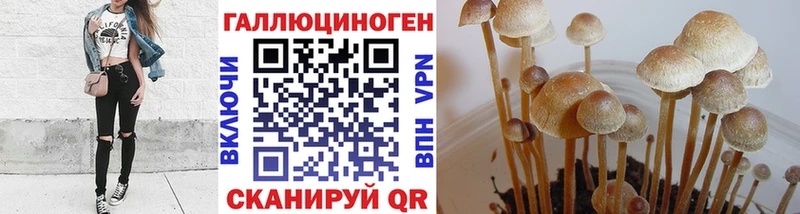 Псилоцибиновые грибы GOLDEN TEACHER  гидра зеркало  Сорочинск 
